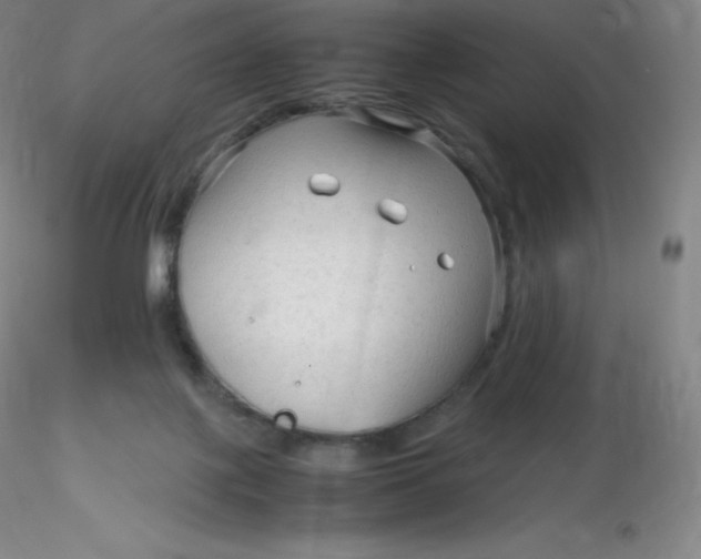 X0000116310075200912211931