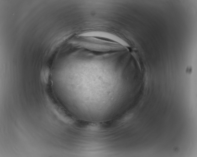 X0000116310076200912211931