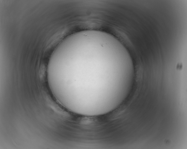 X0000116310077200912211931