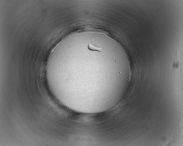 X0000116310078200912211931