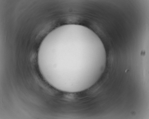 X0000116310079200912211931