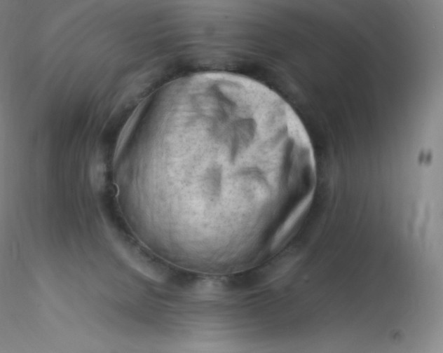 X0000116310080200912211931