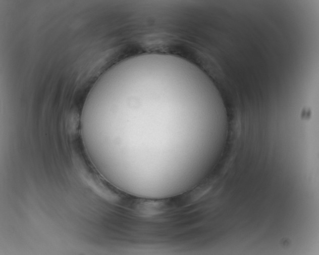 X0000116310081200912211931