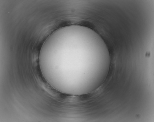 X0000116310082200912211931