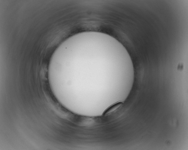 X0000116310083200912211931