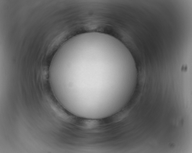 X0000116310085200912211931