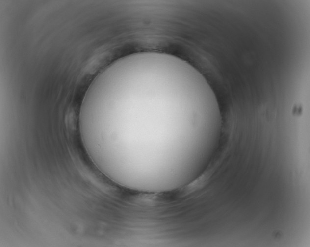 X0000116310086200912211931