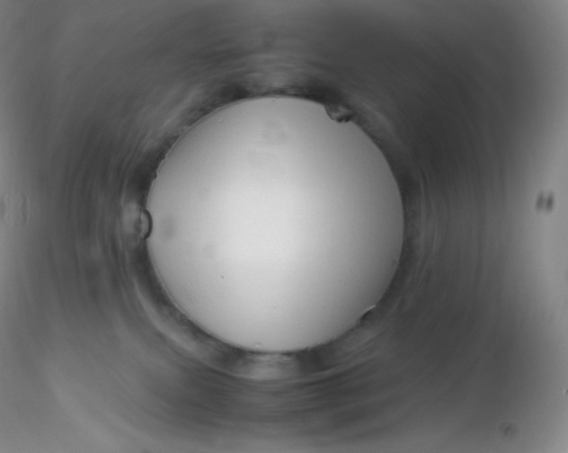 X0000116310087200912211931