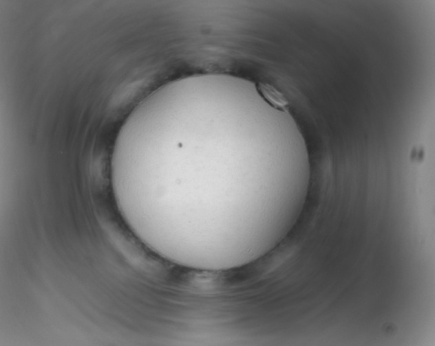 X0000116310088200912211931