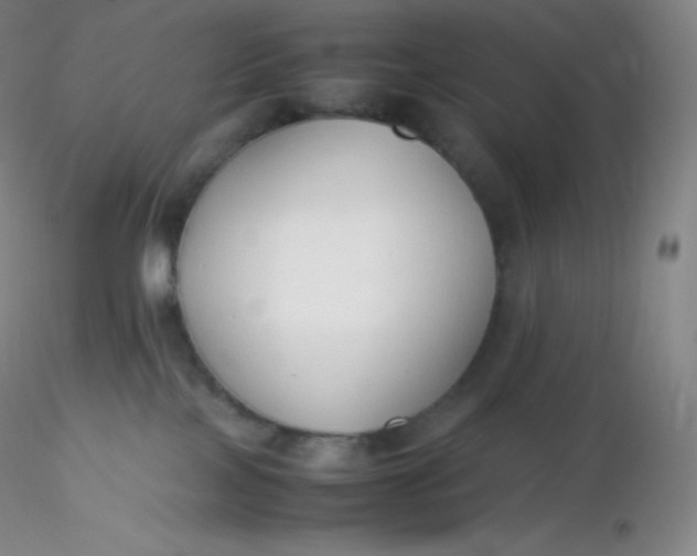 X0000116310089200912211931