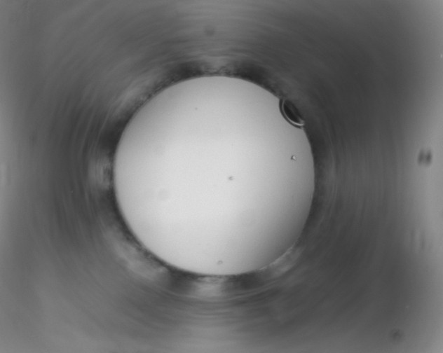 X0000116310090200912211931