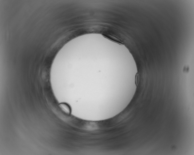 X0000116310091200912211931