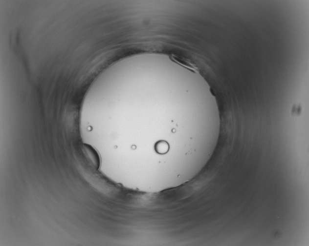 X0000116310092200912211931