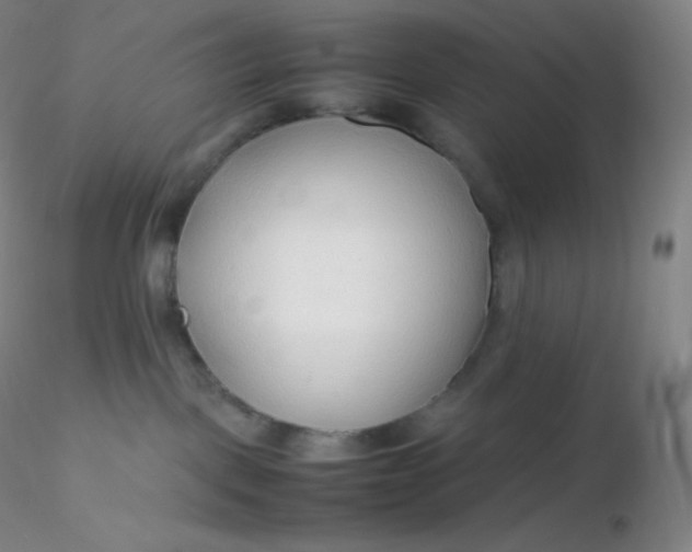 X0000116310093200912211931