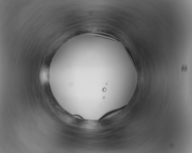 X0000116310095200912211932