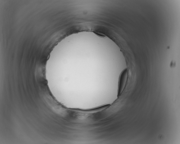 X0000116310096200912211932