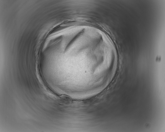 X0000116310097200912211931