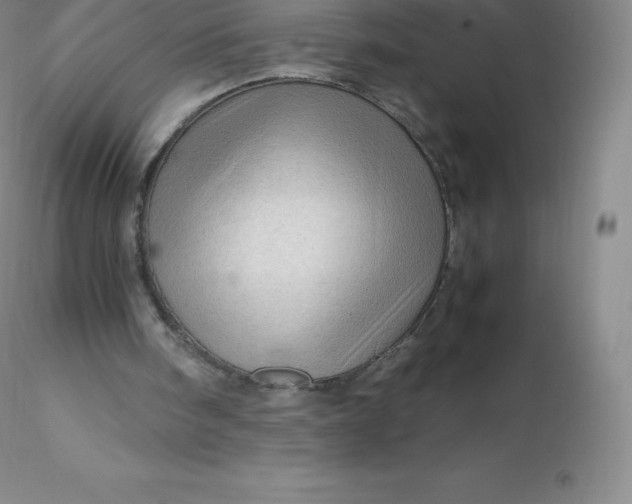 X0000116310098200912211931