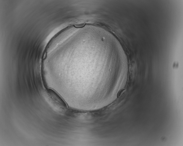 X0000116310100200912211931