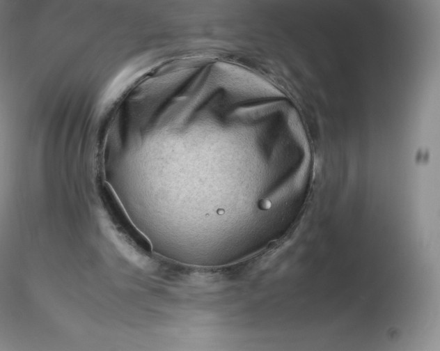 X0000116310101200912211931