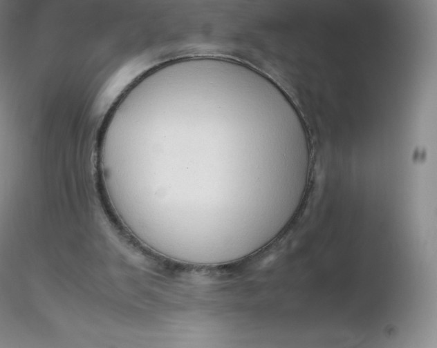 X0000116310103200912211931