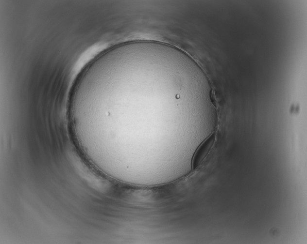 X0000116310104200912211931