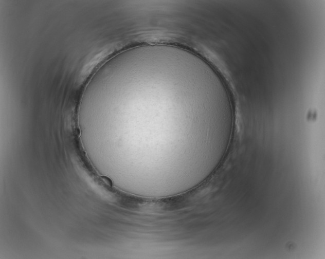 X0000116310105200912211931