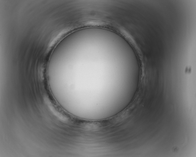 X0000116310106200912211931