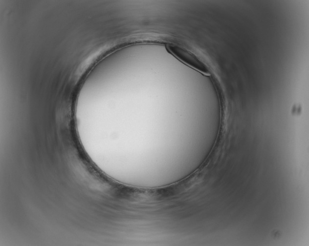 X0000116310107200912211931