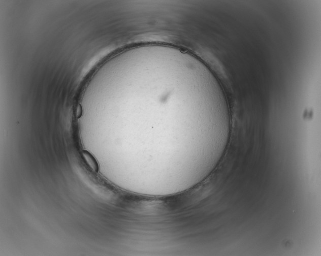 X0000116310108200912211931