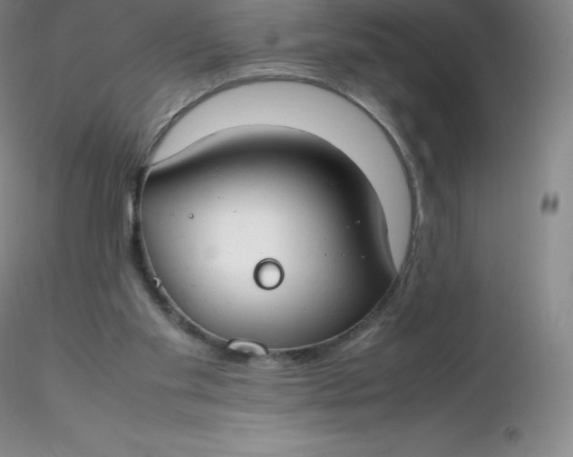 X0000116310109200912211931