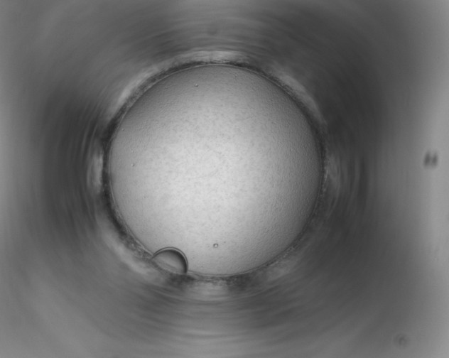 X0000116310110200912211931