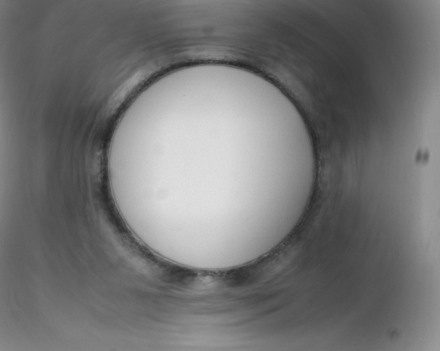 X0000116310111200912211931