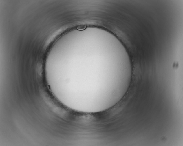 X0000116310112200912211931