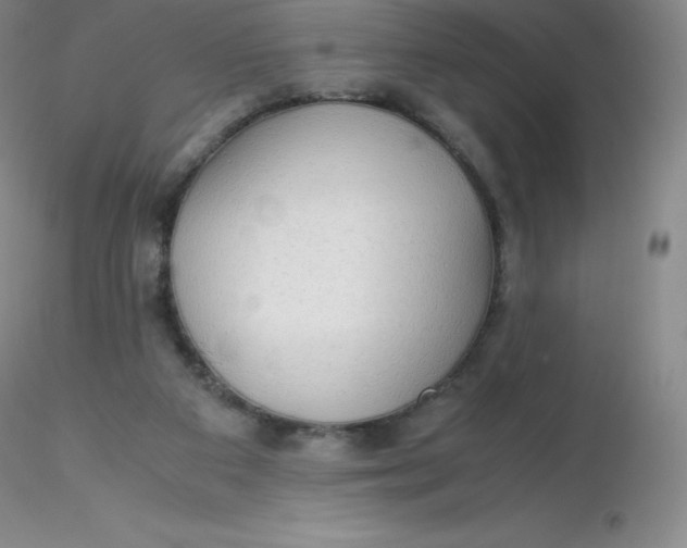 X0000116310113200912211931