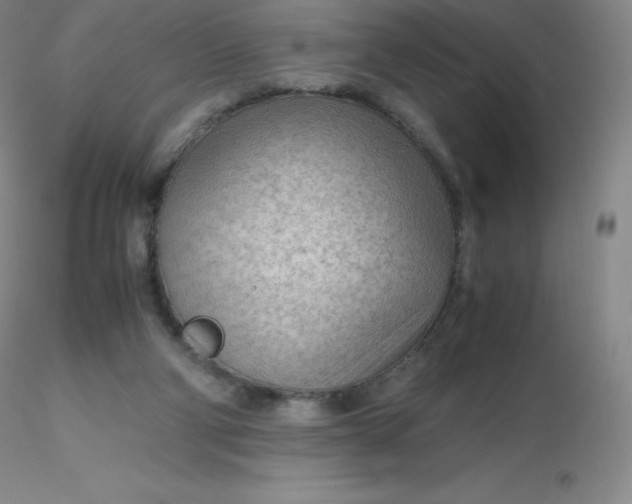 X0000116310114200912211931