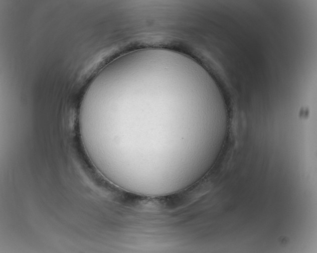 X0000116310115200912211931