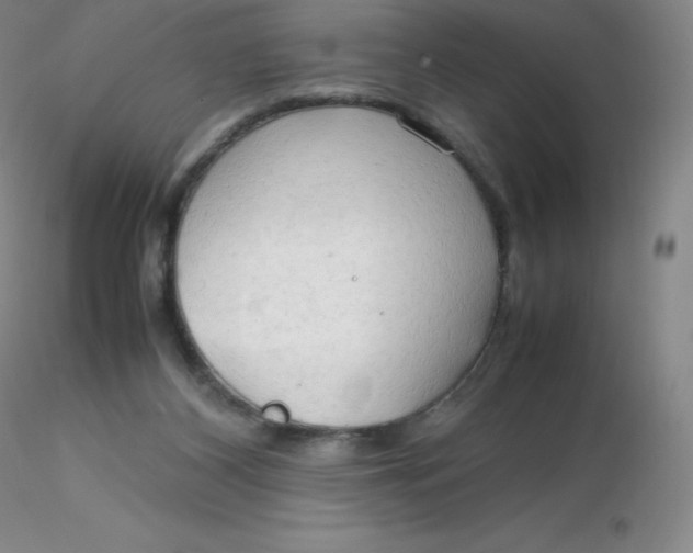 X0000116310116200912211931