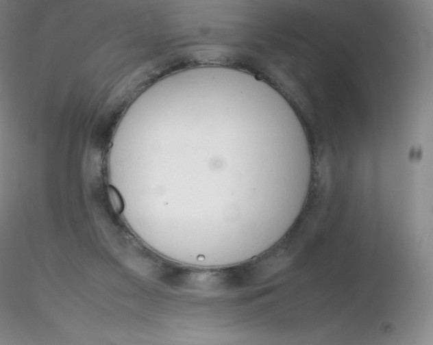 X0000116310117200912211931