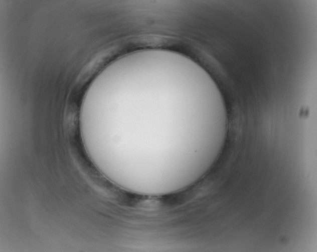 X0000116310119200912211931