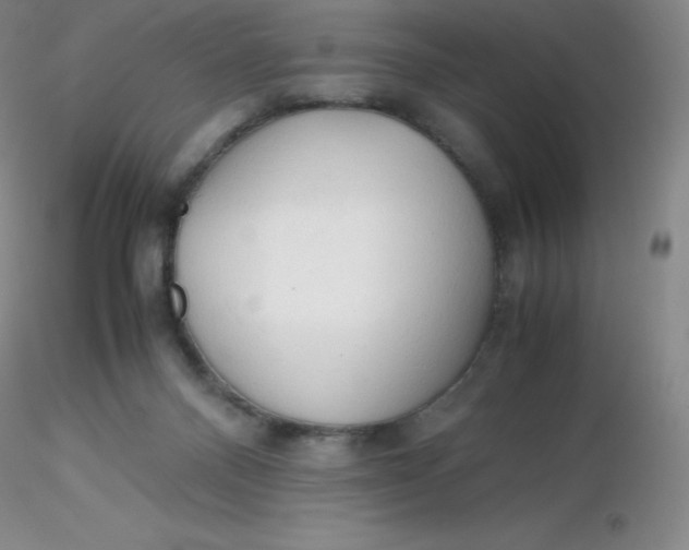 X0000116310120200912211931