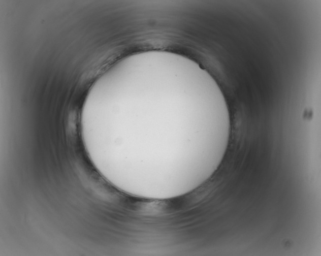 X0000116310122200912211931