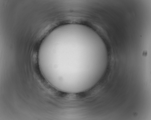 X0000116310123200912211931