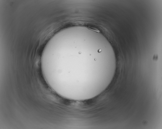 X0000116310125200912211930