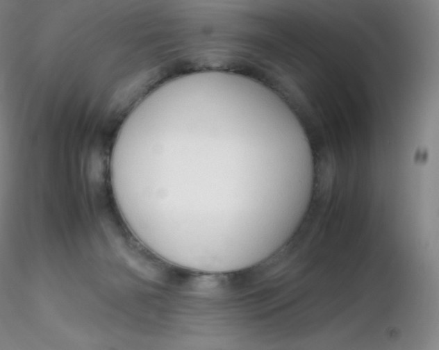 X0000116310126200912211930