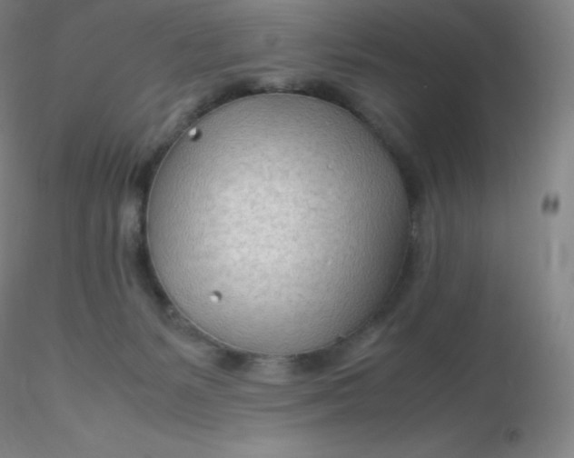 X0000116310127200912211930