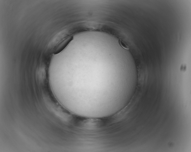 X0000116310128200912211930