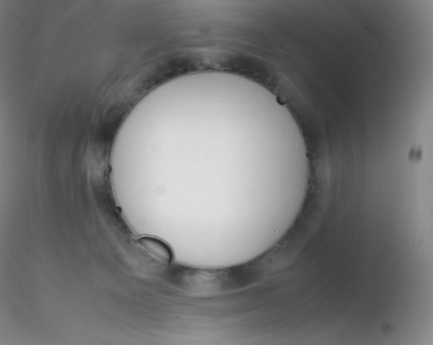 X0000116310129200912211930