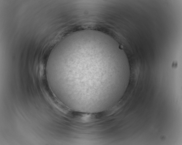 X0000116310130200912211930