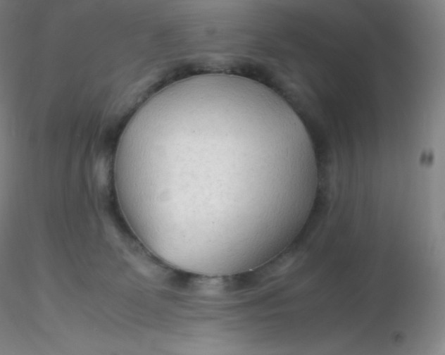 X0000116310131200912211930